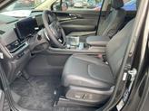Thumbnail of 2026 Panthera Metal Kia Carnival Hybrid