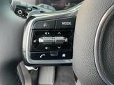 Thumbnail of 2026 Panthera Metal Kia Carnival Hybrid