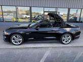 Thumbnail of 2021 Shadow Black Ford Mustang