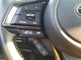 Thumbnail of 2023 Crystal White Pearl Subaru Crosstrek