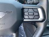 Thumbnail of 2024 Silver Metallic Ford Mustang