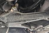 Thumbnail of 2005 Red Chevrolet Corvette