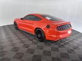 Thumbnail of 2015 Competition Orange Ford Mustang