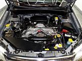 Thumbnail of 2009 Tan Subaru Forester