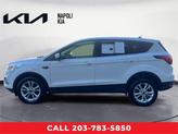 Thumbnail of 2019 Oxford White Ford Escape