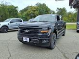 Thumbnail of 2025 Agate Black Metallic Ford F-150