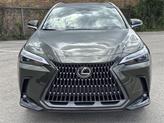 Thumbnail of 2026 Green Pearl Lexus NX 350