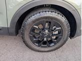 Thumbnail of 2024 Jungle Green Kia Telluride