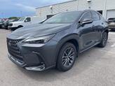 Thumbnail of 2025 Cloudburst Gray Lexus NX 250