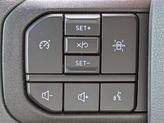 Thumbnail of 2021 Lead Foot Ford F-150