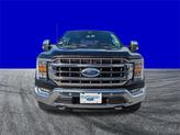 Thumbnail of 2021 Brown Ford F-150