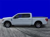 Thumbnail of 2023 Oxford White Ford F-150