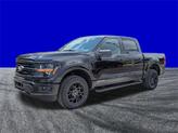 Thumbnail of 2025 Black Metallic Ford F-150