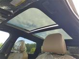 Thumbnail of 2025 Jungle Green Kia Sorento