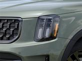 Thumbnail of 2025 Jungle Green Kia Telluride
