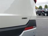 Thumbnail of 2026 Snow White Pearl Kia Carnival Hybrid