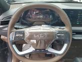 Thumbnail of 2026 Pml Kia EV9