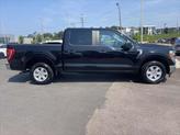 Thumbnail of 2023 Agate Black Metallic Ford F-150