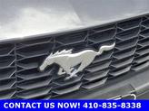Thumbnail of 2024 Dark Matter Gray Metallic Ford Mustang