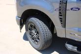 Thumbnail of 2025 Gray Ford F-250