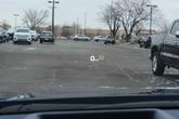 Thumbnail of 2025 Calypso Blue Metallic Buick Envision