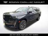 Photo of 2023 Galactic Gray Metallic Cadillac Escalade ESV
