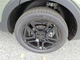 Thumbnail of 2025 Jungle Green Kia Telluride