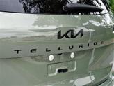 Thumbnail of 2025 Jungle Green Kia Telluride