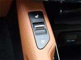 Thumbnail of 2025 Jungle Green Kia Telluride