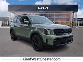 Photo of 2025 Jungle Green Kia Telluride
