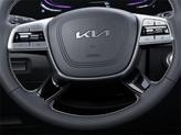 Thumbnail of 2025 Panthera Metal Kia Telluride