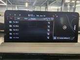Thumbnail of 2025 Vik Black Genesis G70