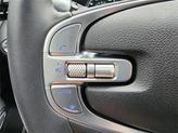 Thumbnail of 2025 Vik Black Genesis GV70