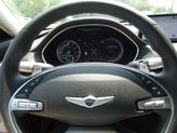 Thumbnail of 2024 Vik Black Genesis Electrified G80