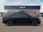 Thumbnail of 2026 Panthera Metal Kia Carnival