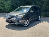 Thumbnail of 2019 Magnetic Ford Escape