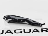 Thumbnail of 2024 White Jaguar F-PACE