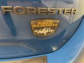 Thumbnail of 2025 Geyser Blue Subaru Forester