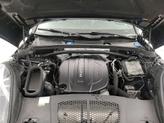 Thumbnail of 2021 Black Porsche Macan