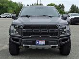 Thumbnail of 2020 Magnetic Ford F-150