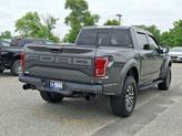 Thumbnail of 2020 Magnetic Ford F-150