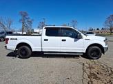 Thumbnail of 2019 White Ford F-150