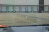 Thumbnail of 2023 Amplify Orange Tintcoat Chevrolet Corvette