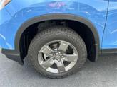 Thumbnail of 2025 Sky Honda Ridgeline