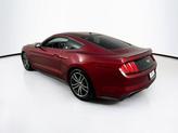 Thumbnail of 2017 Red Ford Mustang