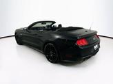 Thumbnail of 2019 Shadow Black Ford Mustang