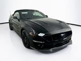 Thumbnail of 2019 Shadow Black Ford Mustang