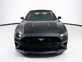 Thumbnail of 2019 Shadow Black Ford Mustang