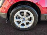 Thumbnail of 2019 Ruby Red Metallic Tinted Clearcoat Ford EcoSport