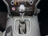 Thumbnail of 2020 Magnetic Ford Mustang